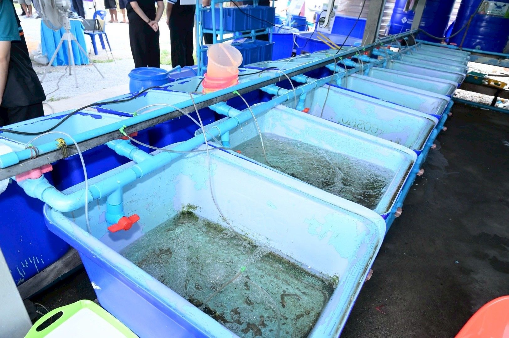 รมช.อัครา ลุยชลบุรีดัน 1277481