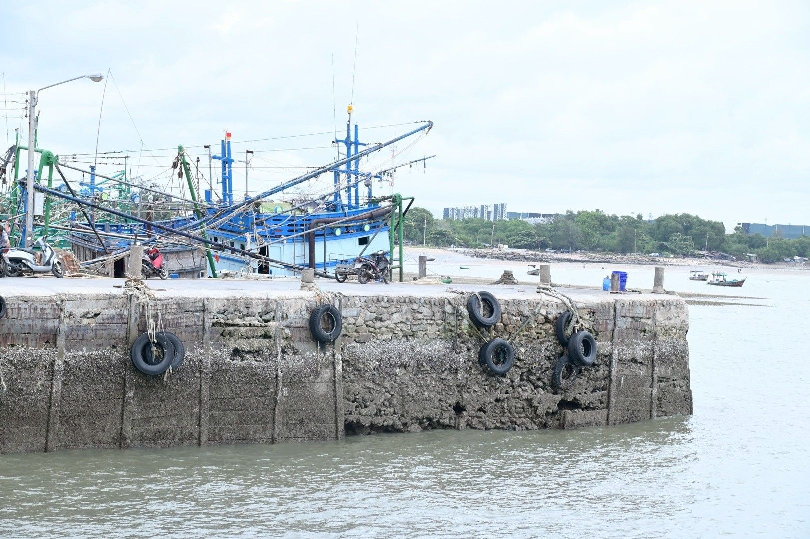 รมช.อัครา ลงพื้นที่พบปะกลุ่มชาวประมง จ.ชลบุรี เร่งแก้ปัญหาสะพานท่าเรือ พร้อมส่งเสริมการเพาะเลี้ยงสัตว์น้ำ เน้นอนุรักษ์ทรัพยากรธรรมชาติและสร้างรายได้ให้ชาวประมงอย่างยั่งยืน 5 1279191