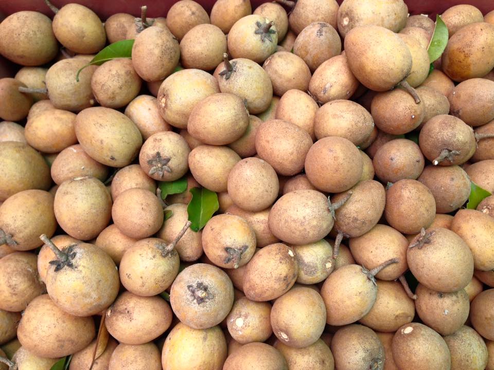 เกาะกระแสแชมป์โลก “ไอศกรีมละมุด 100 ปี” ได้สร้างความฮือฮาด้วยการ คว้ารางวัลชนะเลิศอันดับ 1 ของโลก สาขาไอศกรีม บนเวที Gourmand Awards 2024 หรือที่รู้จักกันในนาม 13254274 1084624544893383 2733357321327530911 n