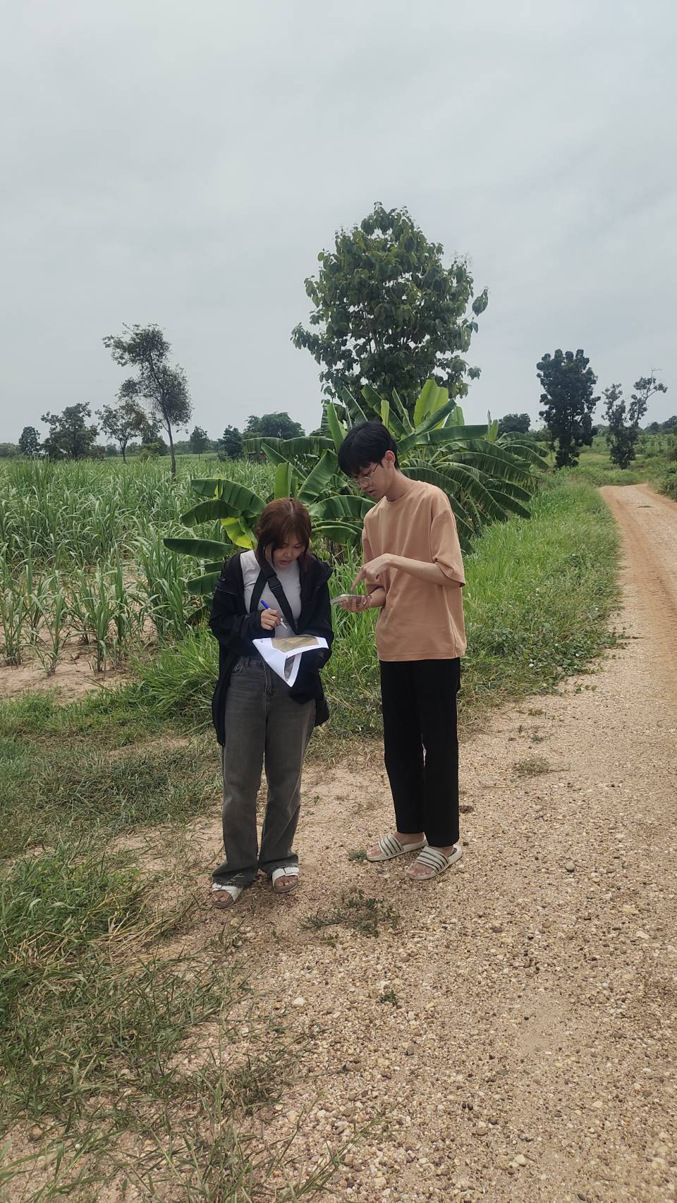 สศก. ถอดบทเรียนปัญหาพื้นที่เพาะปลูกทับซ้อน เตรียมใช้ Machine Learning หนุนการจัดทำแผนที่เกษตรกรรม 5 148232 0