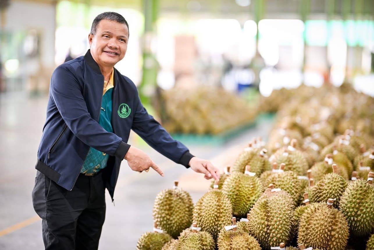 มกอช. บังคับใช้มาตรฐานใหม่ “ล้งทุเรียน” ต้องมีใบอนุญาต เริ่ม 10 ก.ค.นี้ 8 1859767