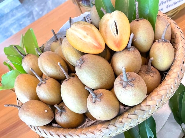 เกาะกระแสแชมป์โลก “ไอศกรีมละมุด 100 ปี” ได้สร้างความฮือฮาด้วยการ คว้ารางวัลชนะเลิศอันดับ 1 ของโลก สาขาไอศกรีม บนเวที Gourmand Awards 2024 หรือที่รู้จักกันในนาม 185 gall 907 Ly3T