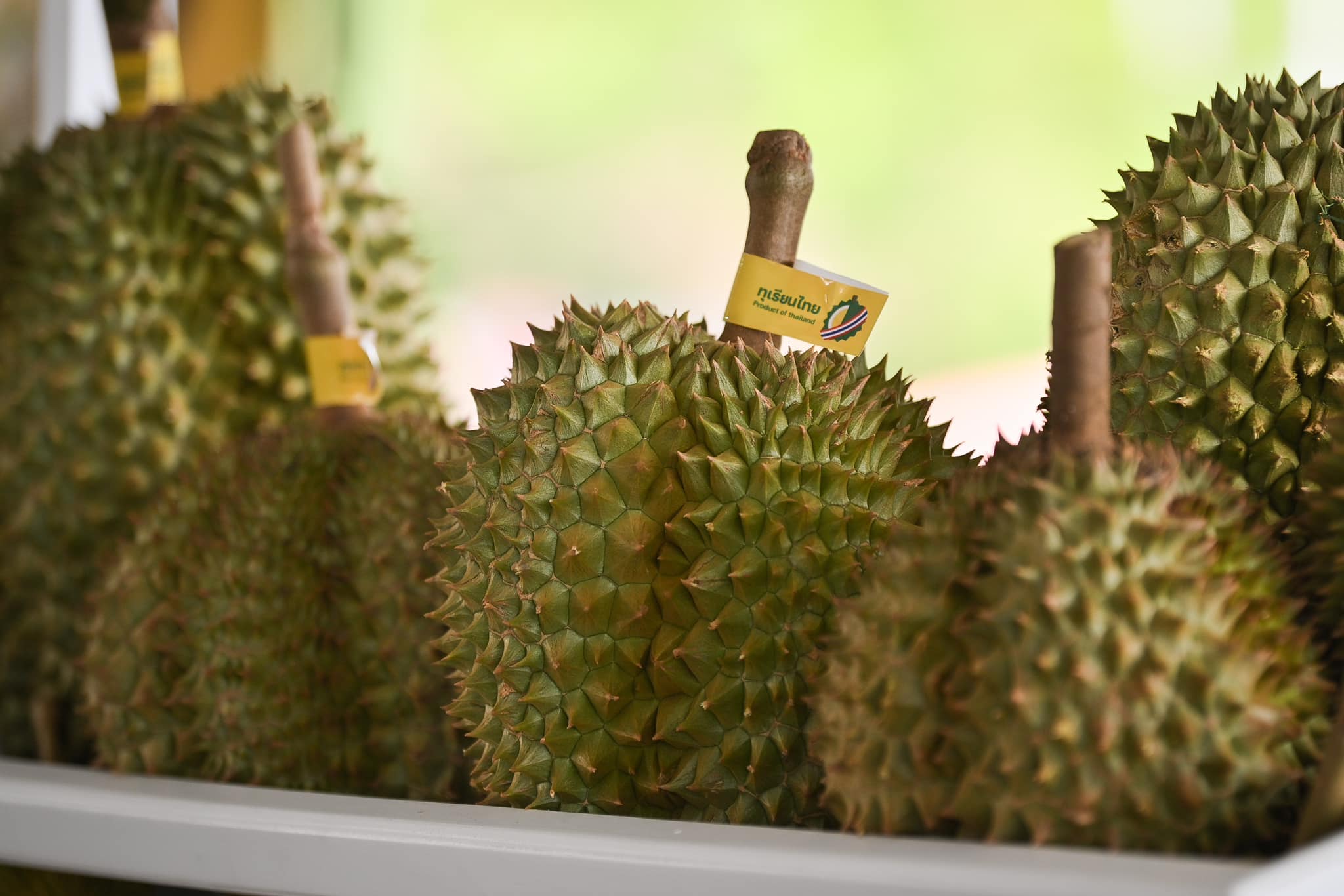 มกอช. ย้ำมาตรฐานใหม่ “ล้งทุเรียน” บังคับใช้ 10 ก.ค.นี้ ต้องขอใบอนุญาตก่อนส่งออก พร้อมอำนวยความสะดวกการส่งออกเพื่อให้เป็นตามมาตรฐานบังคับได้ 5 1860040