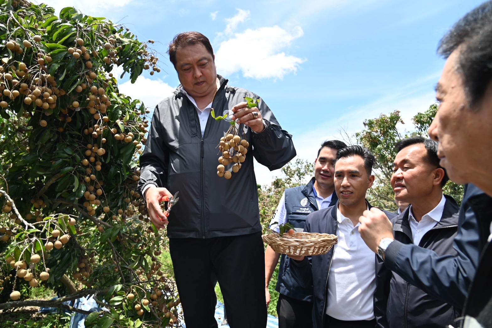 ’สุชาติ‘ ลุยเต็มสูบ 8 มาตรการ ดูดซับลำไย พร้อมแปรรูปกว่า 252,000 ตัน เดินหน้าเชิงรุก ทั้งใน-นอกประเทศ ดันตลาดส่งออก ดึงราคาทั้งระบบ 2 202507214ecb8224586061a31ca2fc0820d409d6162413