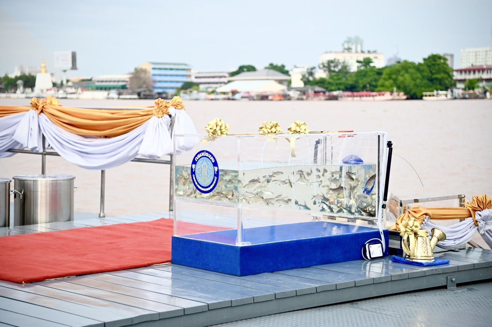 กรมประมงจัดกิจกรรมปล่อยพันธุ์สัตว์น้ำ16.4 ล้านตัว ทั่วประเทศเนื่องในโอกาสมหามงคลเฉลิมพระชนมพรรษาพระบาทสมเด็จพระเจ้าอยู่หัว 5 33566