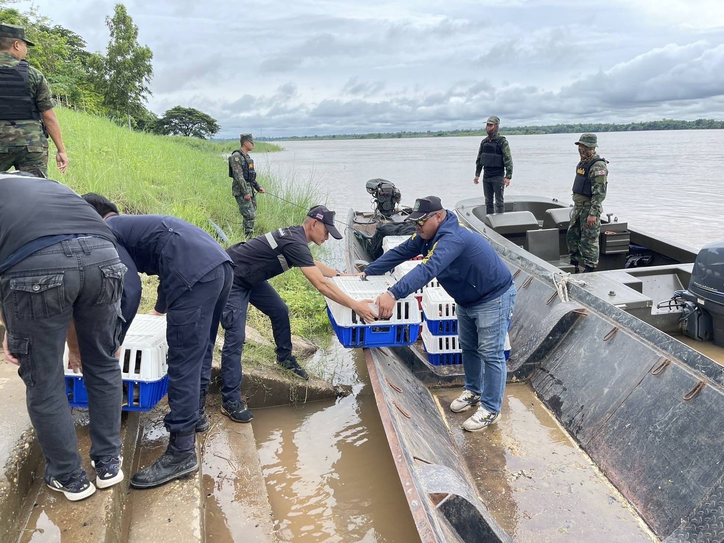 “ฉก.พญานาคราช” จับไก่พื้นเมืองเถื่อนในจังหวัดมุกดาหาร มูลค่า 130,400 บาท 5 3504163