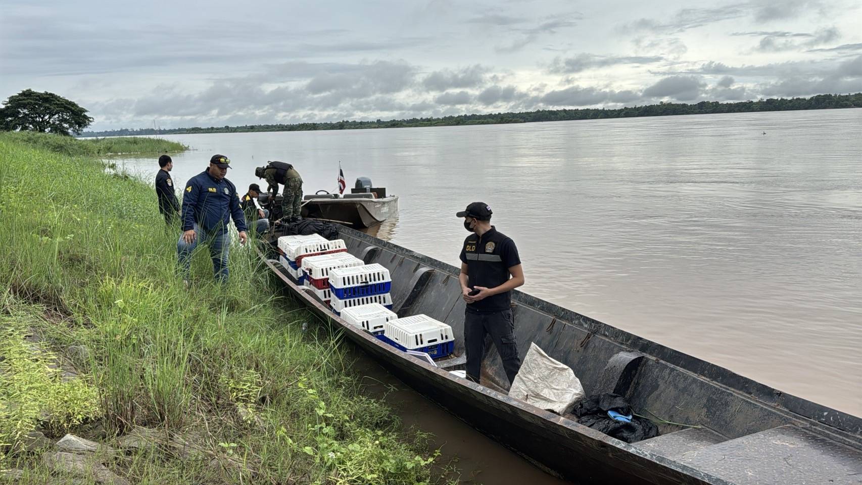 “ฉก.พญานาคราช” จับไก่พื้นเมืองเถื่อนในจังหวัดมุกดาหาร มูลค่า 130,400 บาท 4 3504217