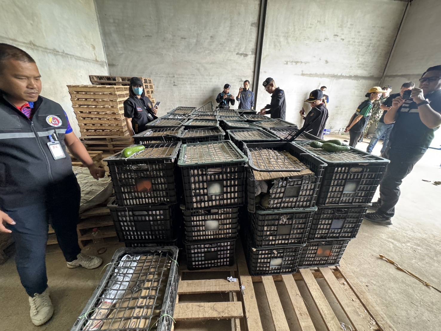 “ฉก.พญานาคราช” จับอะโวคาโดเถื่อนกว่า 6 ตัน มูลค่าเกือบ 5 แสนบาท 4 3514569