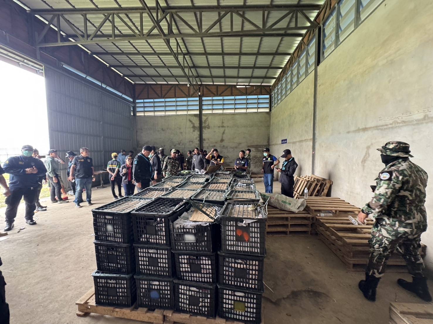 “ฉก.พญานาคราช” จับอะโวคาโดเถื่อนกว่า 6 ตัน มูลค่าเกือบ 5 แสนบาท 6 3514571