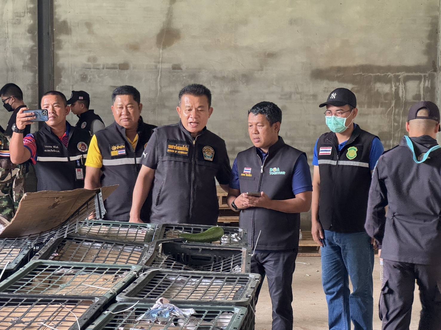 “ฉก.พญานาคราช” จับอะโวคาโดเถื่อนกว่า 6 ตัน มูลค่าเกือบ 5 แสนบาท 8 3514573