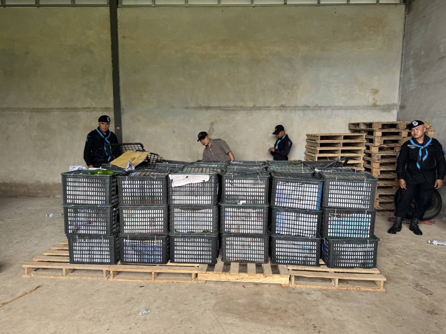 “ฉก.พญานาคราช” จับอะโวคาโดเถื่อนกว่า 6 ตัน มูลค่าเกือบ 5 แสนบาท 9 3514574