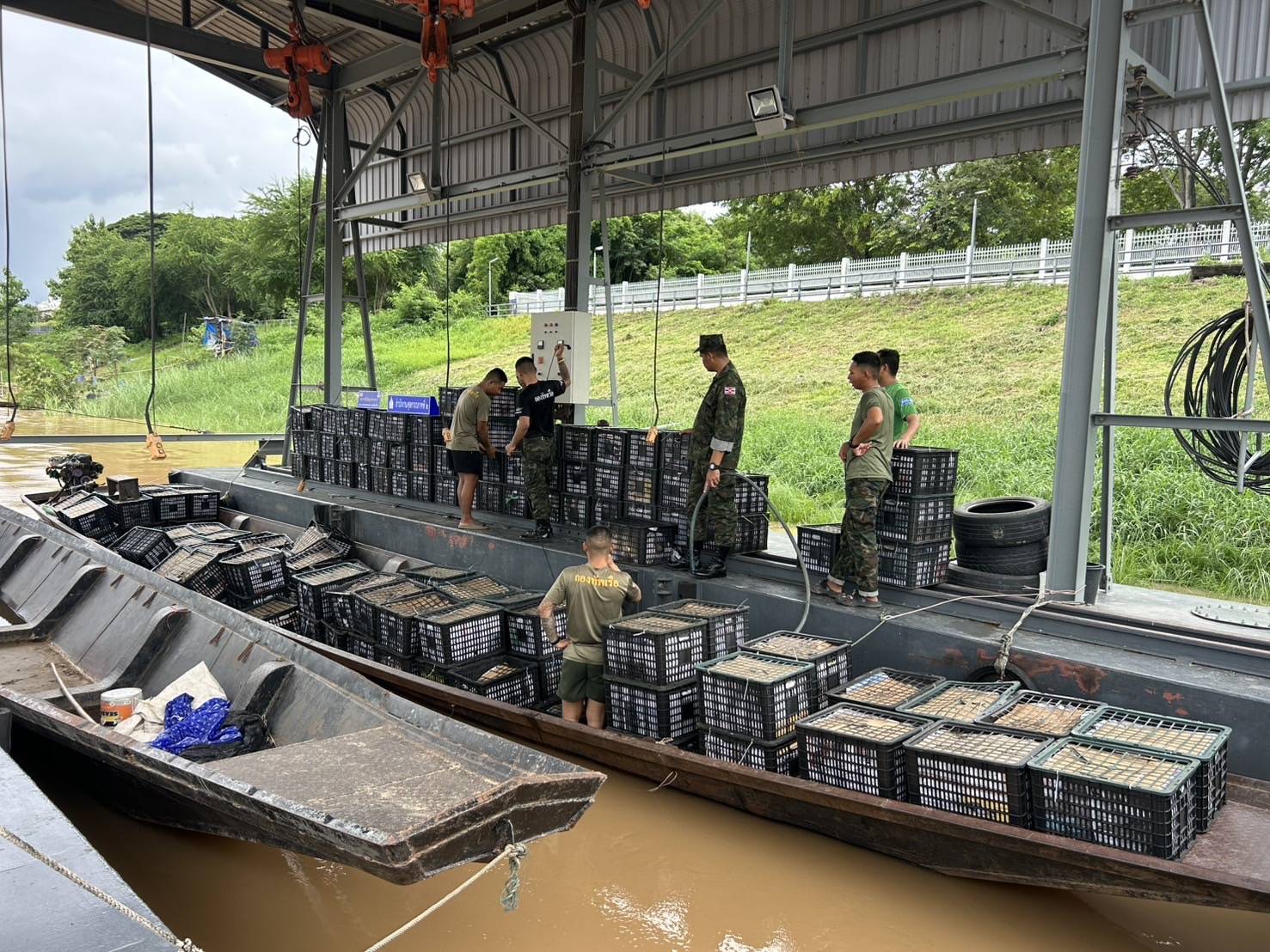 “ฉก.พญานาคราช” จับอะโวคาโดเถื่อนกว่า 6 ตัน มูลค่าเกือบ 5 แสนบาท 12 3514577