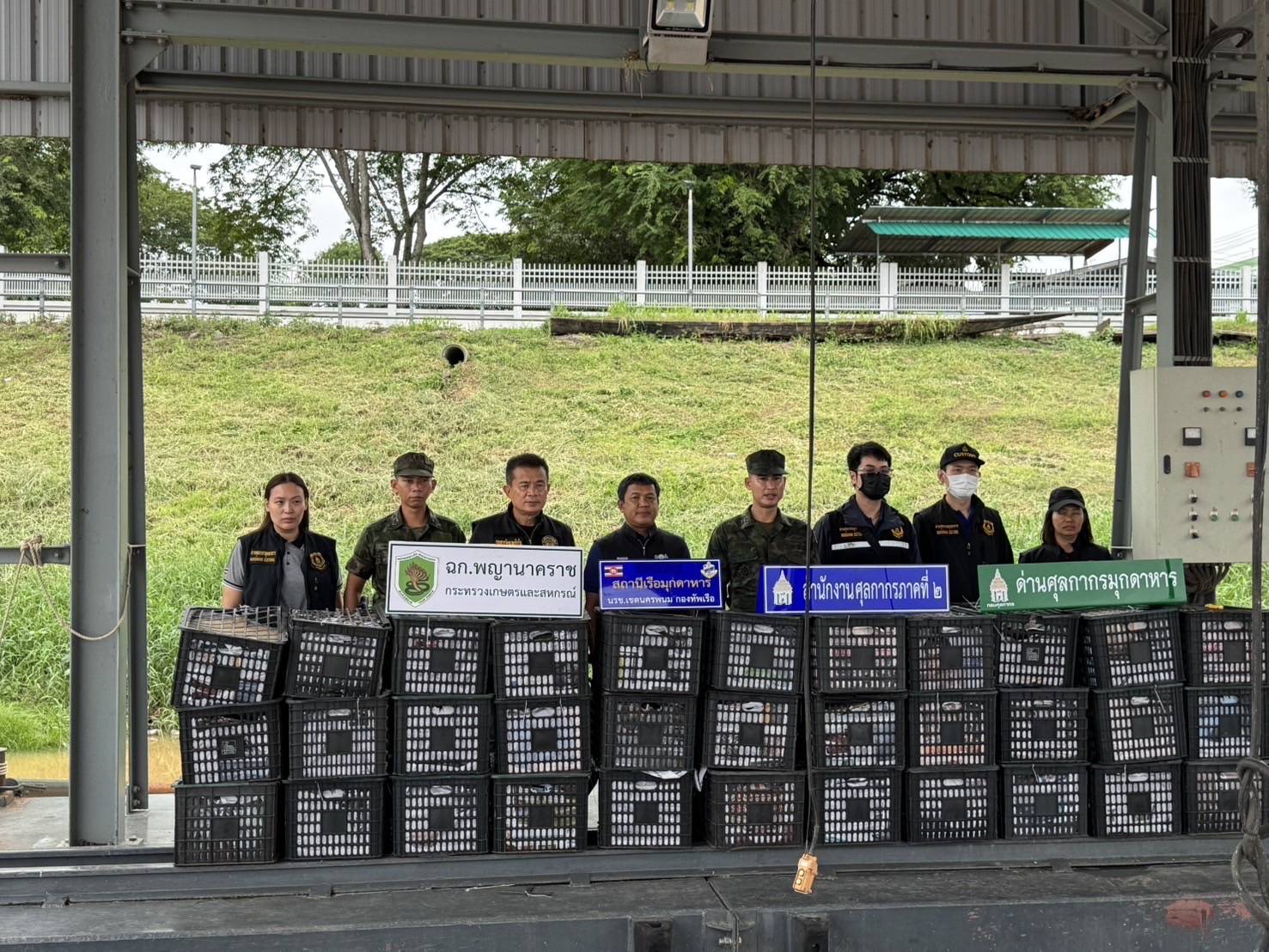 “ฉก.พญานาคราช” จับอะโวคาโดเถื่อนกว่า 6 ตัน มูลค่าเกือบ 5 แสนบาท 13 3514578