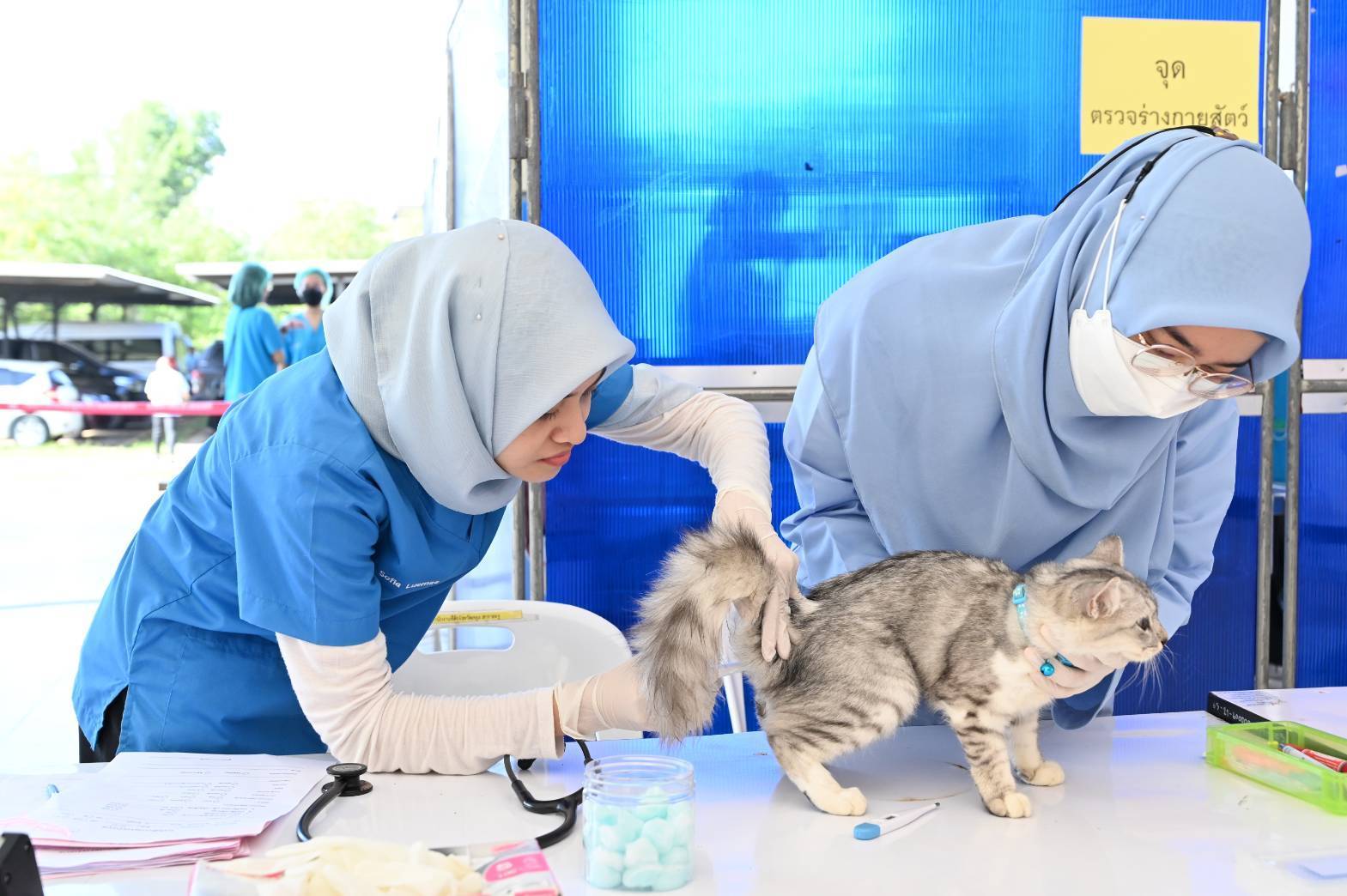 กรมปศุสัตว์ ออกหน่วยให้บริการโครงการสัตวแพทย์พระราชทานฯ ในพื้นที่จังหวัดสตูล 9 383166