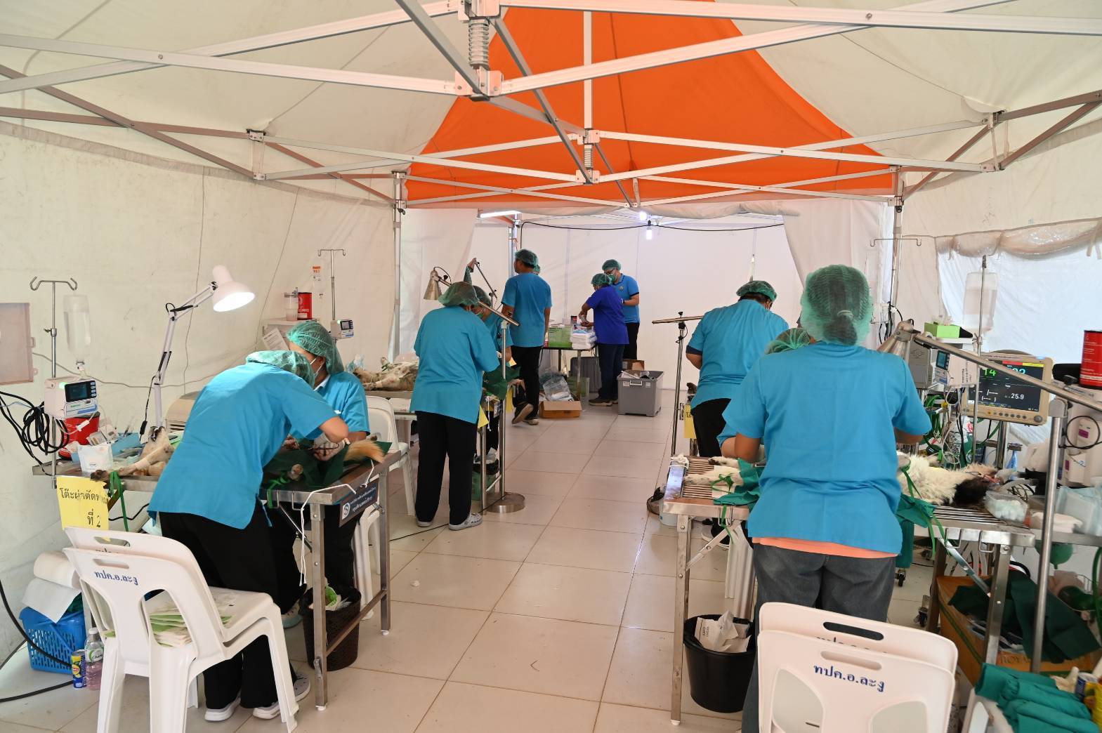 กรมปศุสัตว์ ออกหน่วยให้บริการโครงการสัตวแพทย์พระราชทานฯ ในพื้นที่จังหวัดสตูล 11 383168