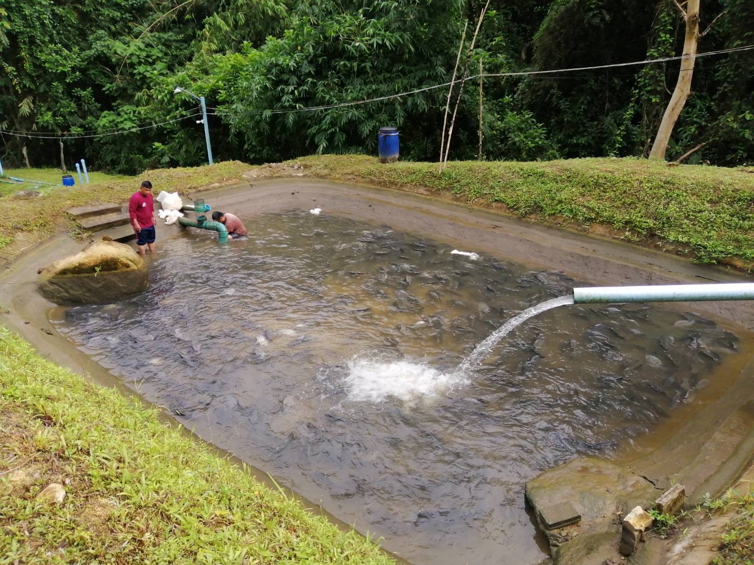 472402508 960694572829275 1367035163428698108 n