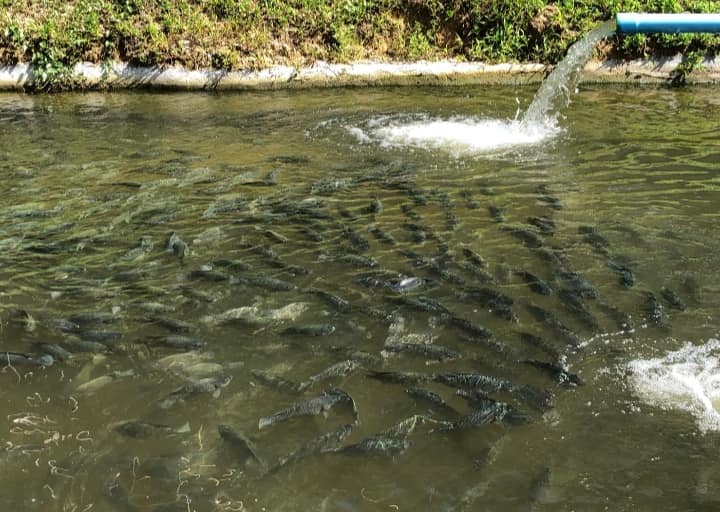 473420095 966715305560535 3304633022460371035 n