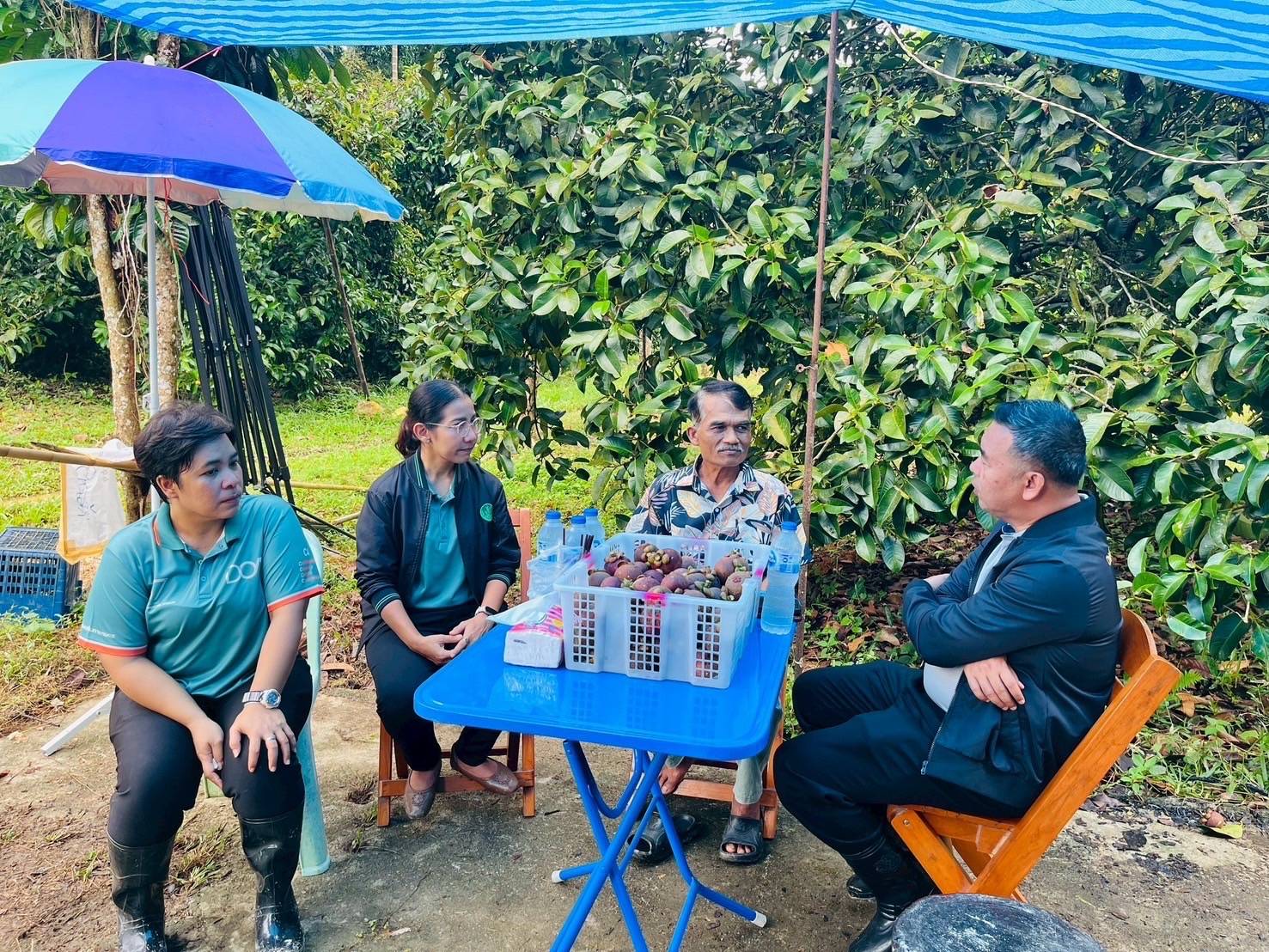 อ.ต.ก. แก้ไขปัญหามังคุดราคาตก เร่งระบายผลผลิต จัดกิจกรรมจำหน่ายมังคุดช่วยเหลือเกษตรกรภาคใต้ 11-22 ก.ค. นี้ ณ ตลาด อ.ต.ก. จตุจักร 6 495879