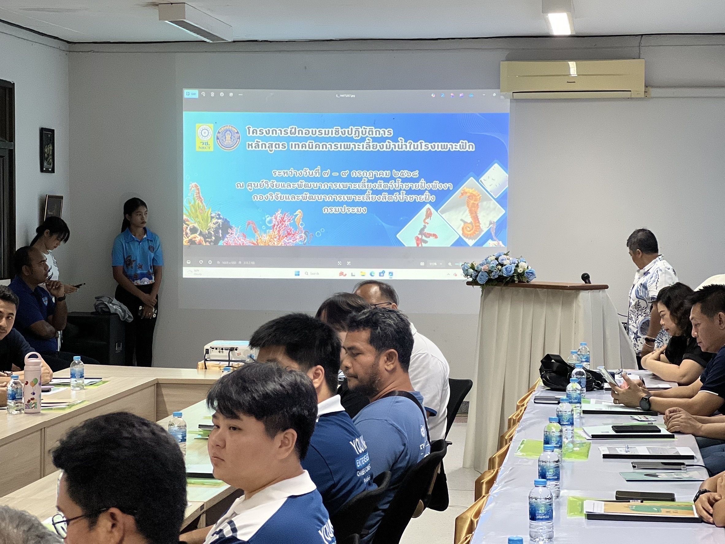 กรมประมง เปิดคอร์สอบรม “เทคนิคเพาะเลี้ยงม้าน้ำในโรงเพาะฟัก” จังหวัดพังงา ปูเส้นทางสู่ตลาดสัตว์น้ำเศรษฐกิจมูลค่าสูง ควบคู่การฟื้นฟูระบบนิเวศทะเลไทยอย่างยั่งยืนภายใต้ฐานงานวิจัยและกฎหมายรองรับการเพาะพันธุ์อย่างถูกต้อง 7 499147