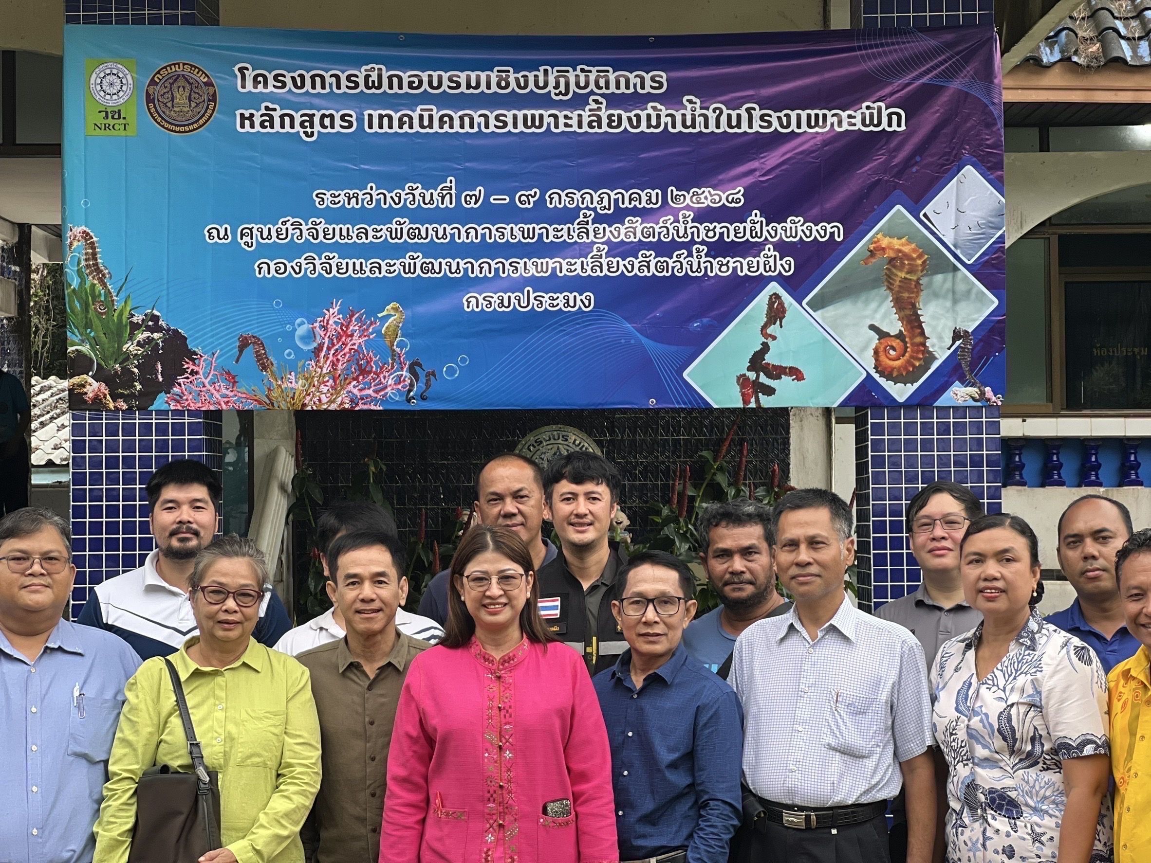 กรมประมง เปิดคอร์สอบรม “เทคนิคเพาะเลี้ยงม้าน้ำในโรงเพาะฟัก” จังหวัดพังงา ปูเส้นทางสู่ตลาดสัตว์น้ำเศรษฐกิจมูลค่าสูง ควบคู่การฟื้นฟูระบบนิเวศทะเลไทยอย่างยั่งยืนภายใต้ฐานงานวิจัยและกฎหมายรองรับการเพาะพันธุ์อย่างถูกต้อง 8 499148