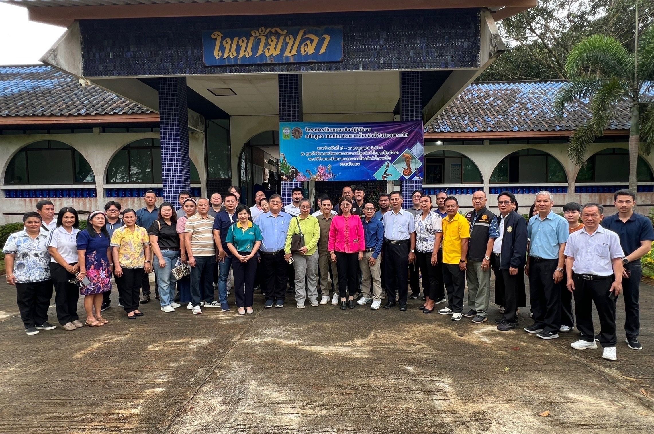 กรมประมง เปิดคอร์สอบรม “เทคนิคเพาะเลี้ยงม้าน้ำในโรงเพาะฟัก” จังหวัดพังงา ปูเส้นทางสู่ตลาดสัตว์น้ำเศรษฐกิจมูลค่าสูง ควบคู่การฟื้นฟูระบบนิเวศทะเลไทยอย่างยั่งยืนภายใต้ฐานงานวิจัยและกฎหมายรองรับการเพาะพันธุ์อย่างถูกต้อง 9 499149