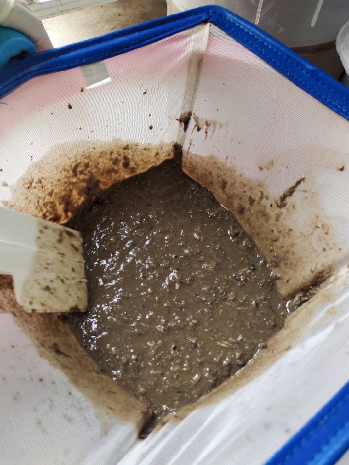 กรมประมง เปลี่ยนเศษปลาไม่ให้ไร้ค่า พัฒนาเป็น “โปรตีนไฮโดรไลเสต” แบบเข้มข้นช่วยลดต้นทุนอาหาร เสริมสร้างการเจริญเติบโตของสัตว์น้ำตอบโจทย์ผลงานวิจัยที่ต่อยอดสู่การใช้ประโยชน์ได้จริง 12 506383