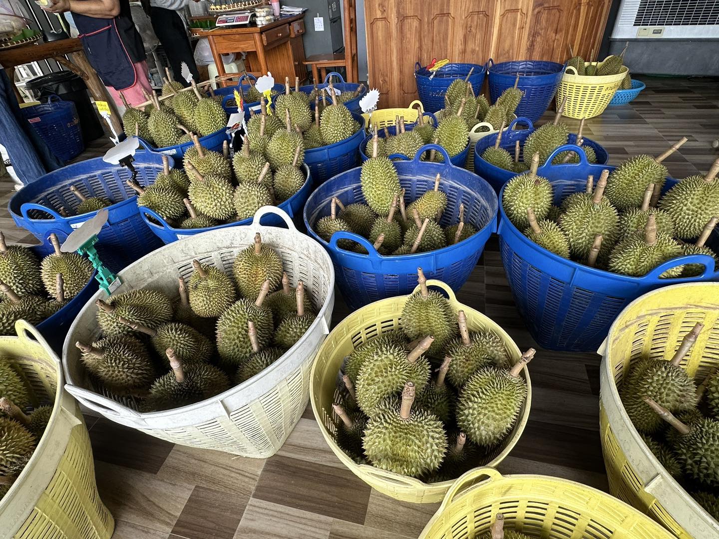 สศท.2 เกาะติดสถานการณ์ผลิตทุเรียนภาคเหนือตอนล่าง ปี 68 รวม 6 จังหวัด แตะ 55,000 ตัน เพิ่มขึ้น 12.47% 8 506895647 1031450122510533 8817359196340032709 n