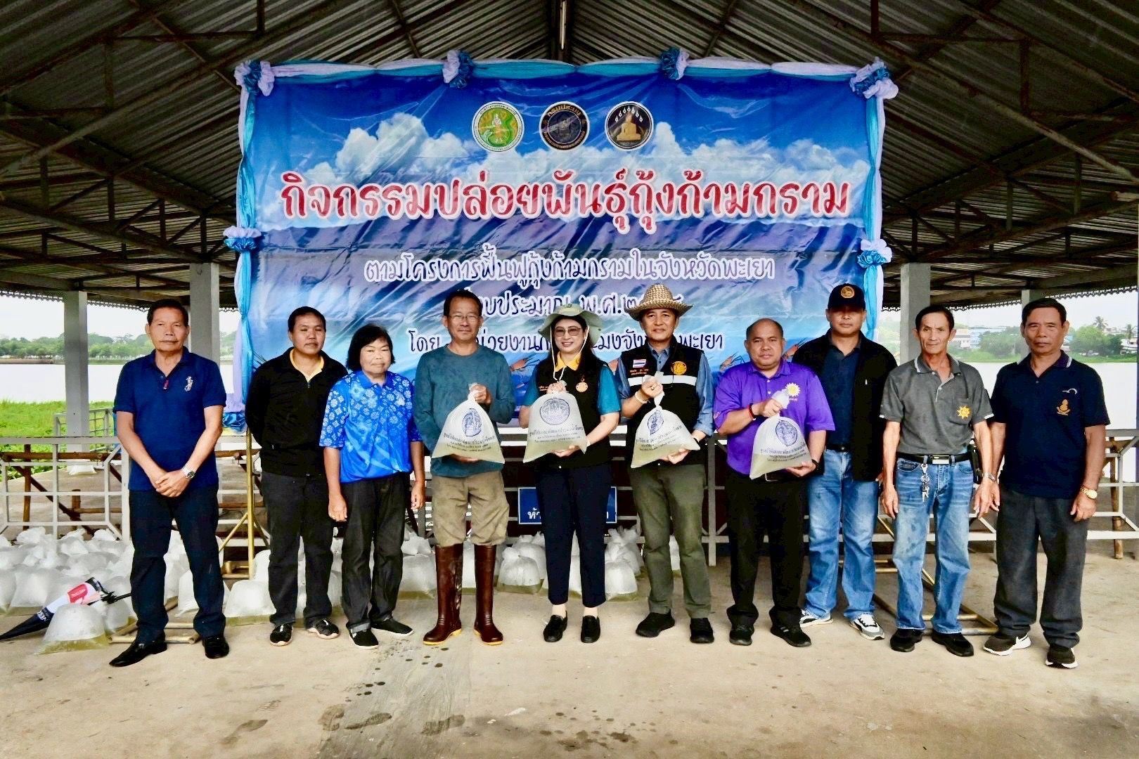 กรมประมงเพิ่มผลผลิต “กุ้งก้ามกราม” ฟื้นฟูแหล่งน้ำ จ.พะเยา สร้างแหล่งอาหาร สร้างรายได้ให้ชุมชน 3 508511