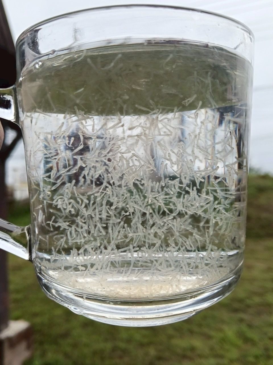 กรมประมง ผนึกกำลังชุมชน Kick Off “ประมงร่วมอาสาพาปลากลับบ้านจากโขงสู่กว๊านพะเยา”ปล่อยพันธุ์ปลากว่า 15 ล้านตัว คืนสู่แหล่งต้นน้ำ หนุนเพิ่มประชากรในช่วงฤดูวางไข่ 15 509727