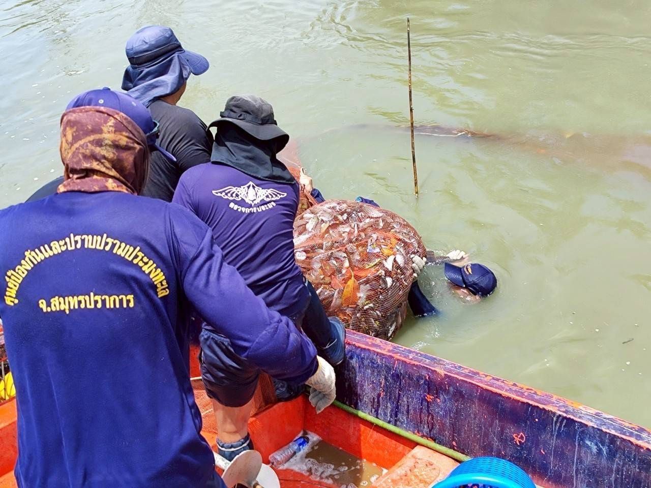 โฆษกกรมประมงเผย ยอดรับซื้อ 513060