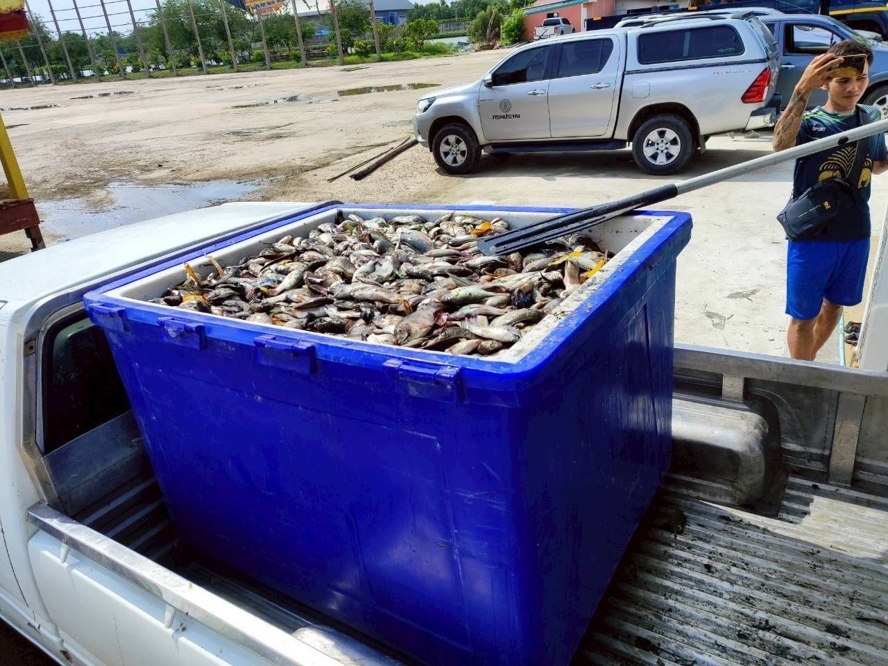 โฆษกกรมประมงเผย ยอดรับซื้อ 513062