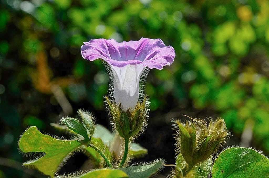 514424209 1111262174520148 5825820719181704438 n