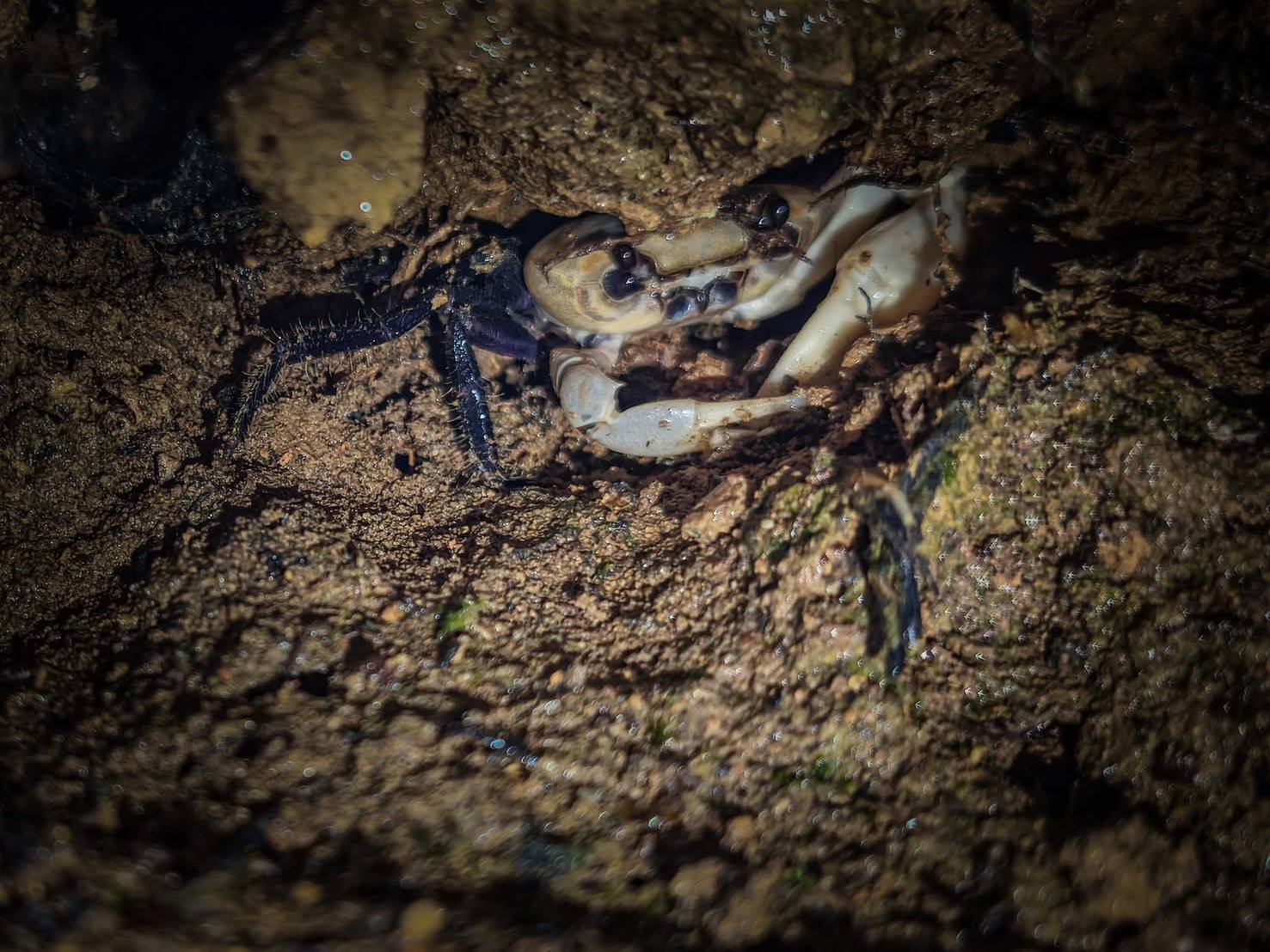 515756807 1070681458530567 6072276872404691082 n