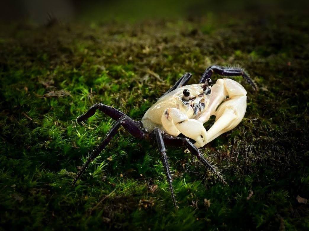 515900948 1070681188530594 9209211550211813577 n