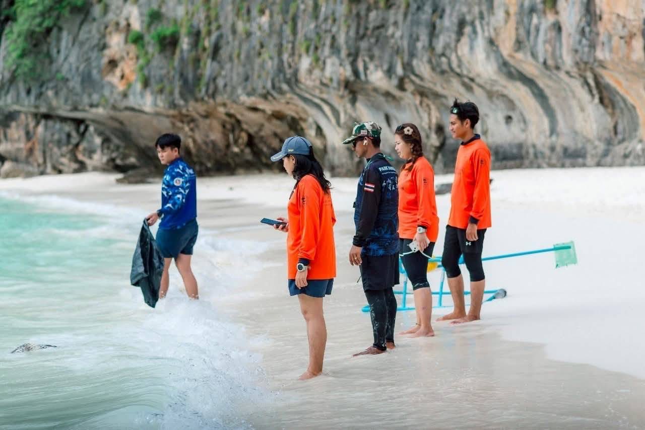 อ่าวมาหยาคืนชีพ พบ 516324991 1123879286433862 6610838587172760159 n