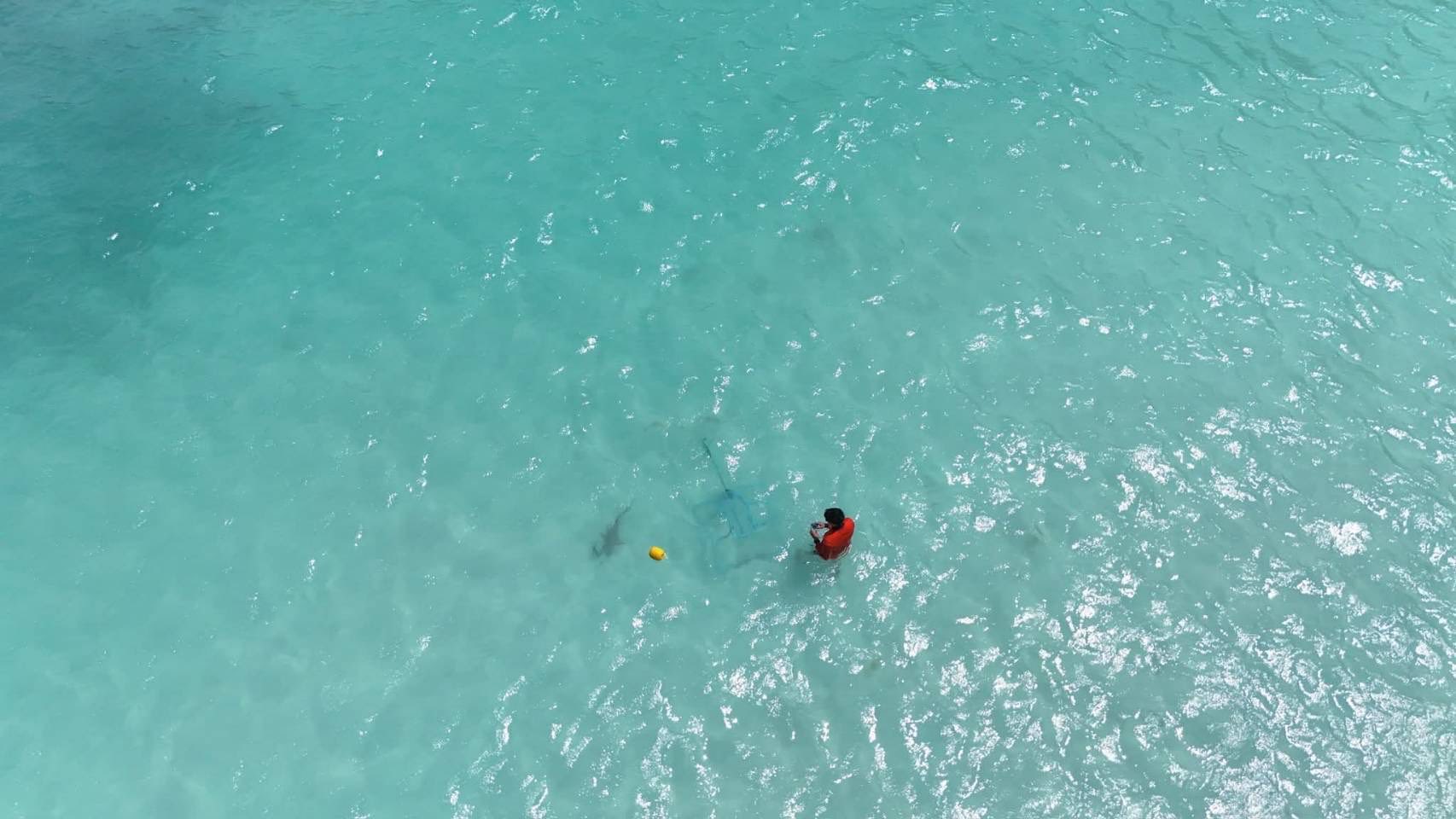 อ่าวมาหยาคืนชีพ พบ 517271120 1123879483100509 2747851121063838465 n