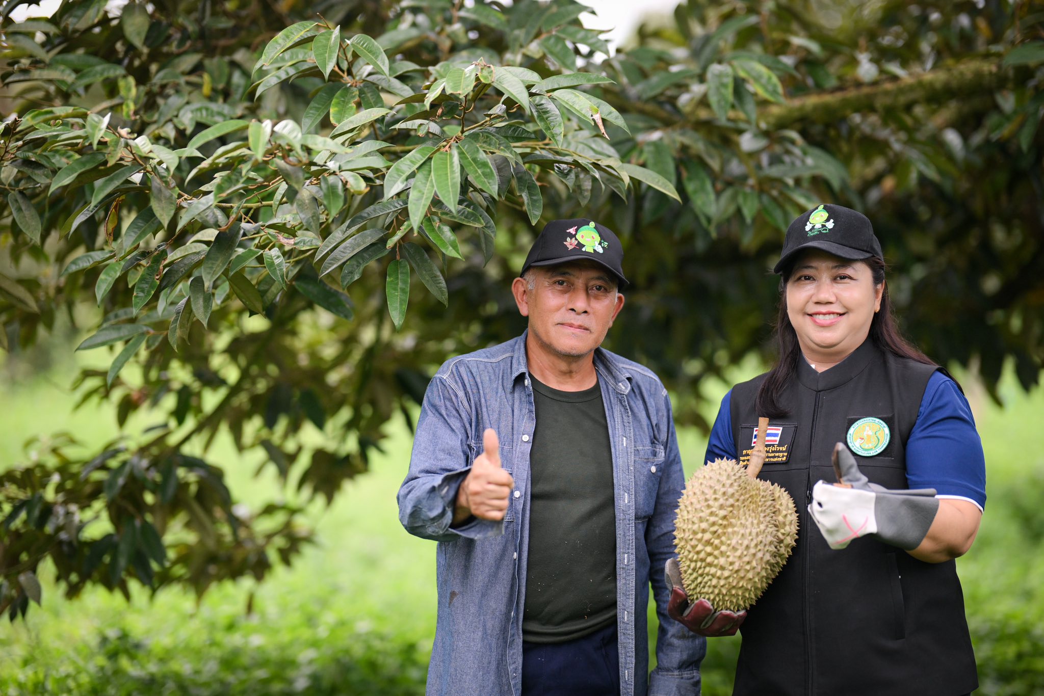 มกอช. ผนึกพลัง เดินหน้ายกระดับ ‘ทุเรียนป่าเด็ง’ อัญมณีแห่งป่าตะวันตก สู่สินค้าเกษตรมาตรฐาน GAP 3 518349328 1288205832658209 1956200752106014917 n