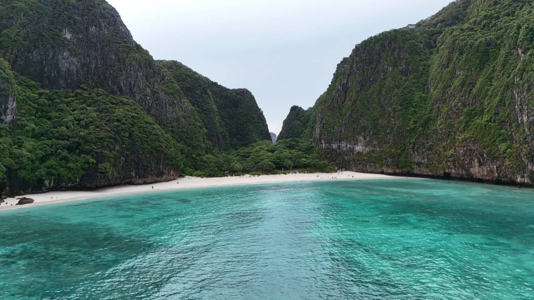 อ่าวมาหยาคืนชีพ พบ 518360113 1123879243100533 4411545819545342826 n