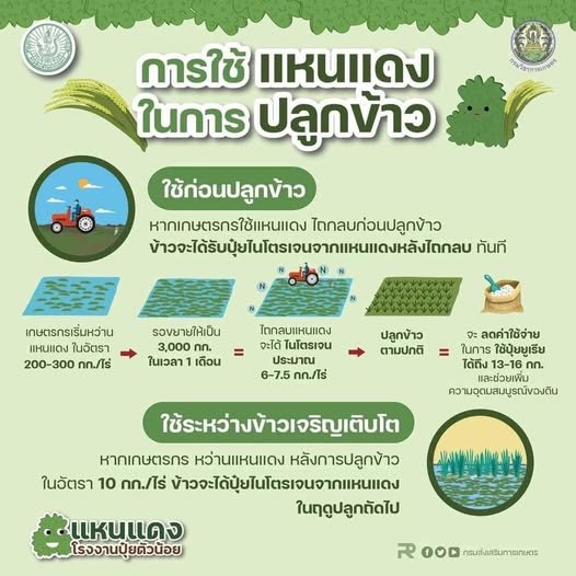 518368086 1534073867912990 6202179930810060987 n