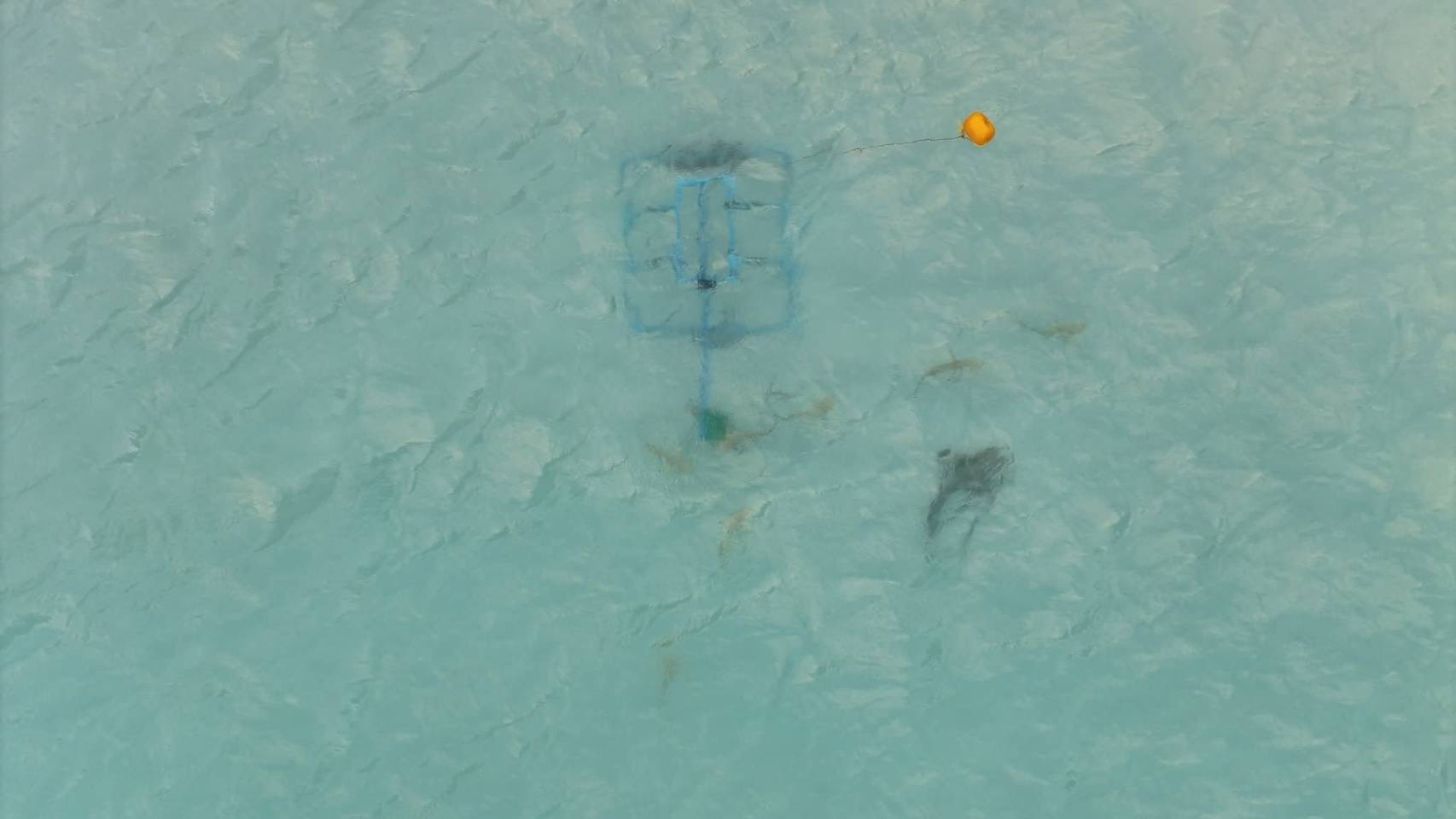 อ่าวมาหยาคืนชีพ พบ 518946108 1123879279767196 5651177855203125402 n