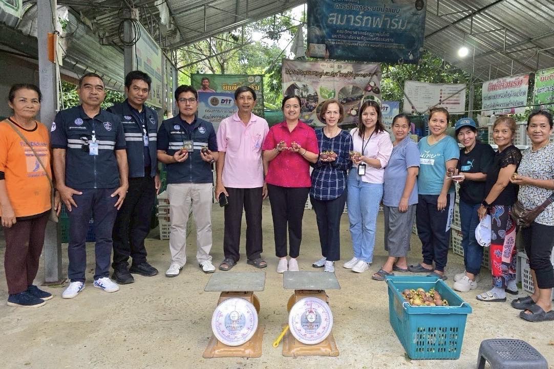 “สุชาติ”ปลื้ม ใช้เวลาแค่ 16 วัน ดันราคามังคุดใต้ทะลุกิโลกรัมละ 100 บาท 5 520041841 1112097707778930 2674096710067885970 n