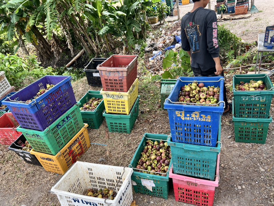 520526411 687583960977958 6592106317742720396 n