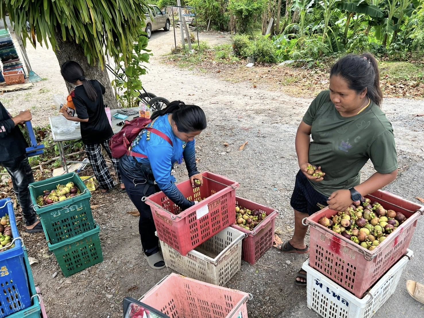 520615771 687584237644597 8691491493833392966 n