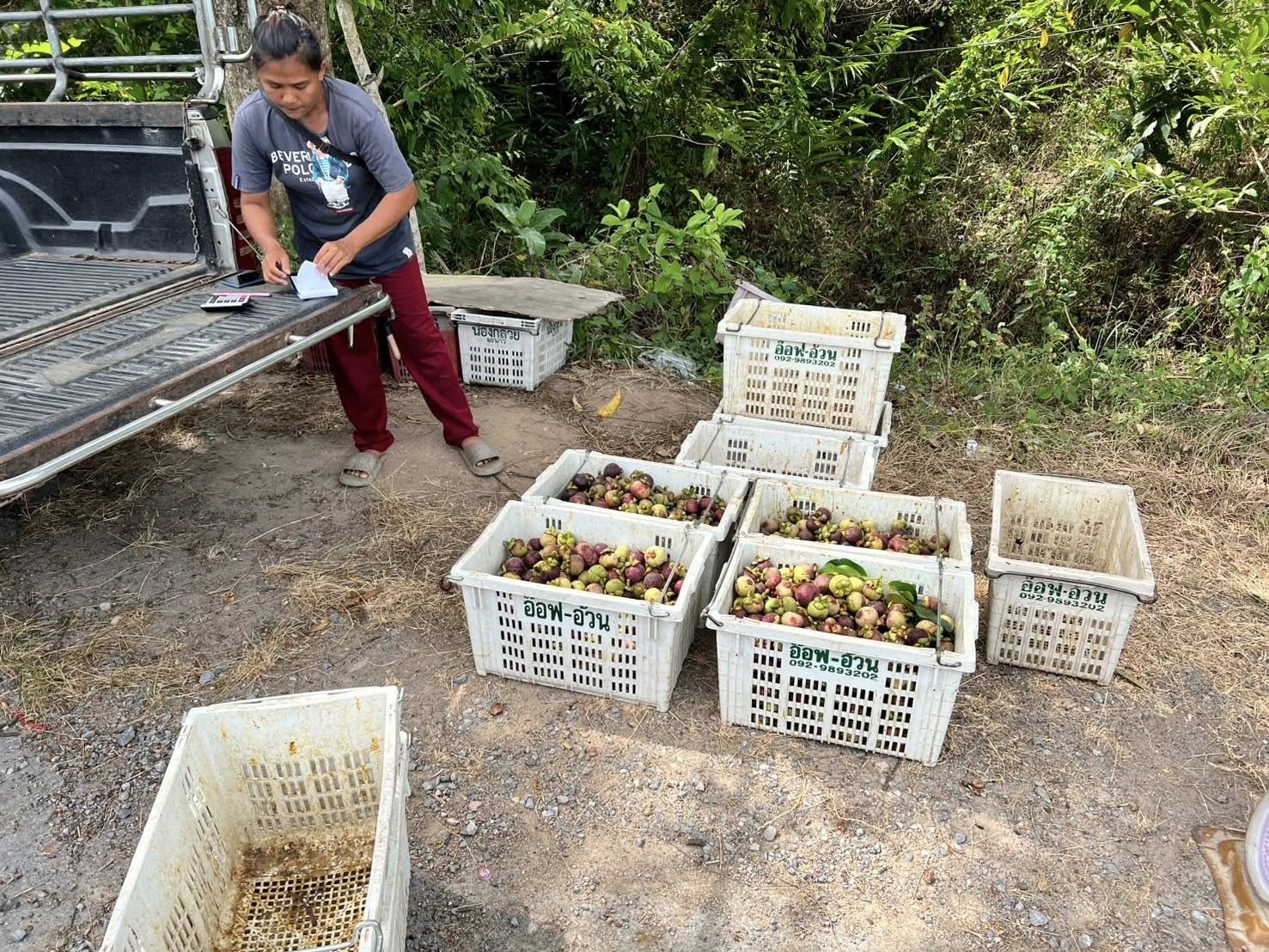 522120720 687584664311221 346273727790049445 n