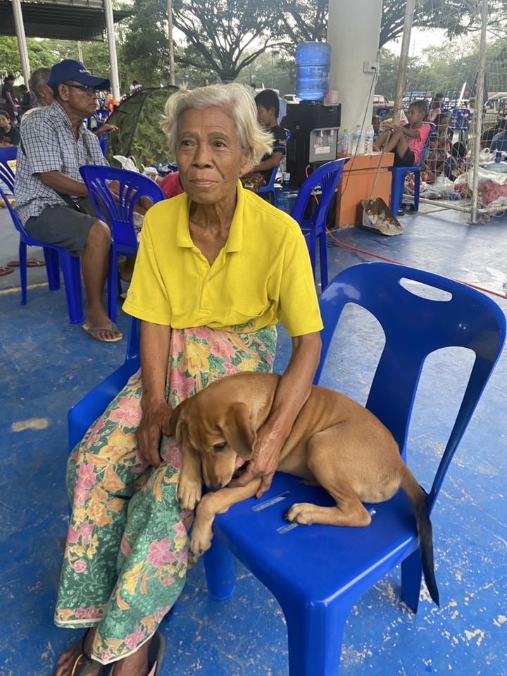 ปศุสัตว์ศรีสะเกษ ลงพื้นที่ติดตามสถานการณ์สัตว์เลี้ยงและจุดอพยพในพื้นที่ชายแดน 4 522930265 1053736766869250 1698861858256146603 n