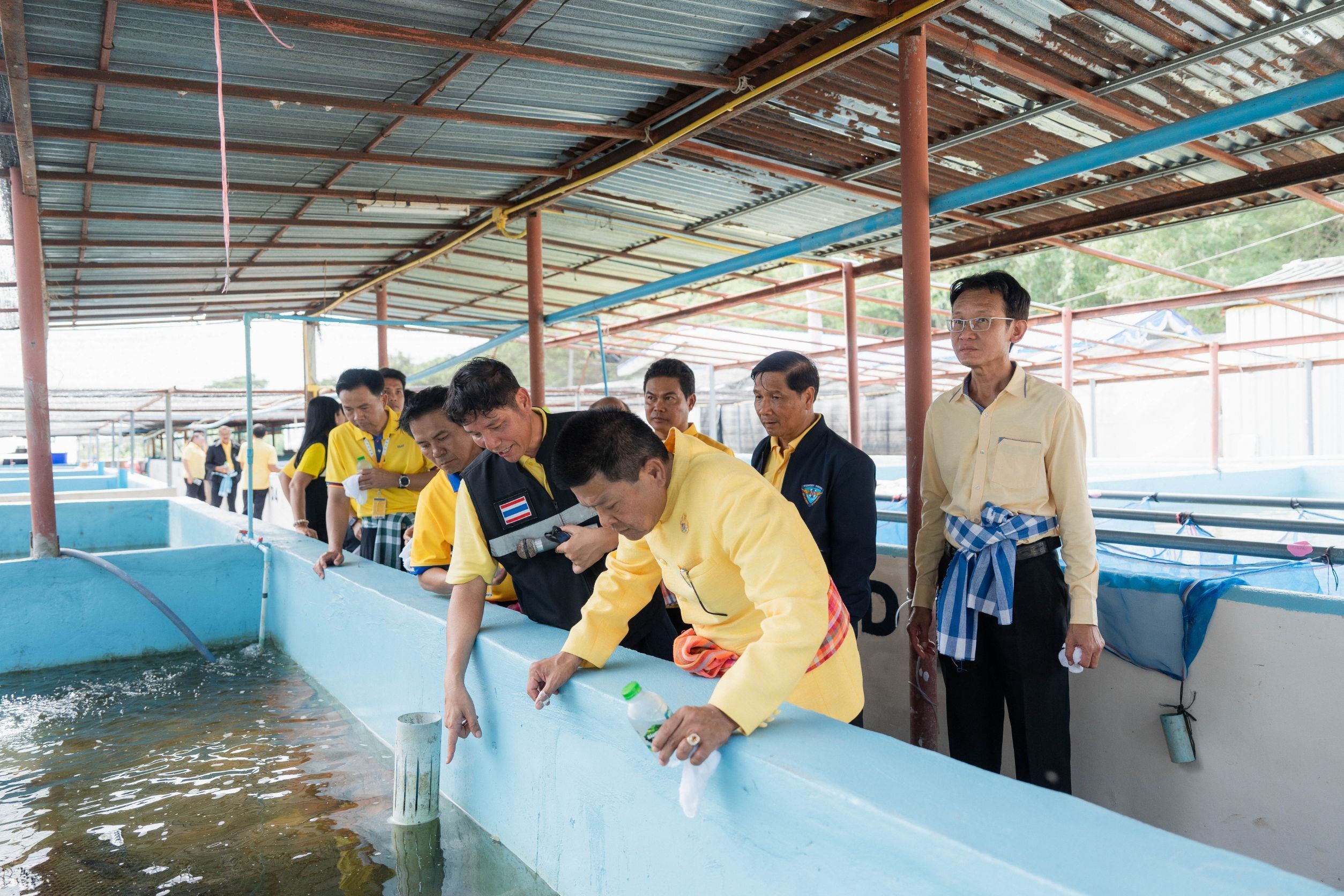 กรมประมงจับมือ กฟผ.เปิดตัว “โรงเพาะเลี้ยงกุ้งก้ามกรามพลังงานแสงอาทิตย์”เป็นศูนย์กลางการเรียนรู้และหนุนอาชีพ สร้างรายได้ท้องถิ่น 6 524458