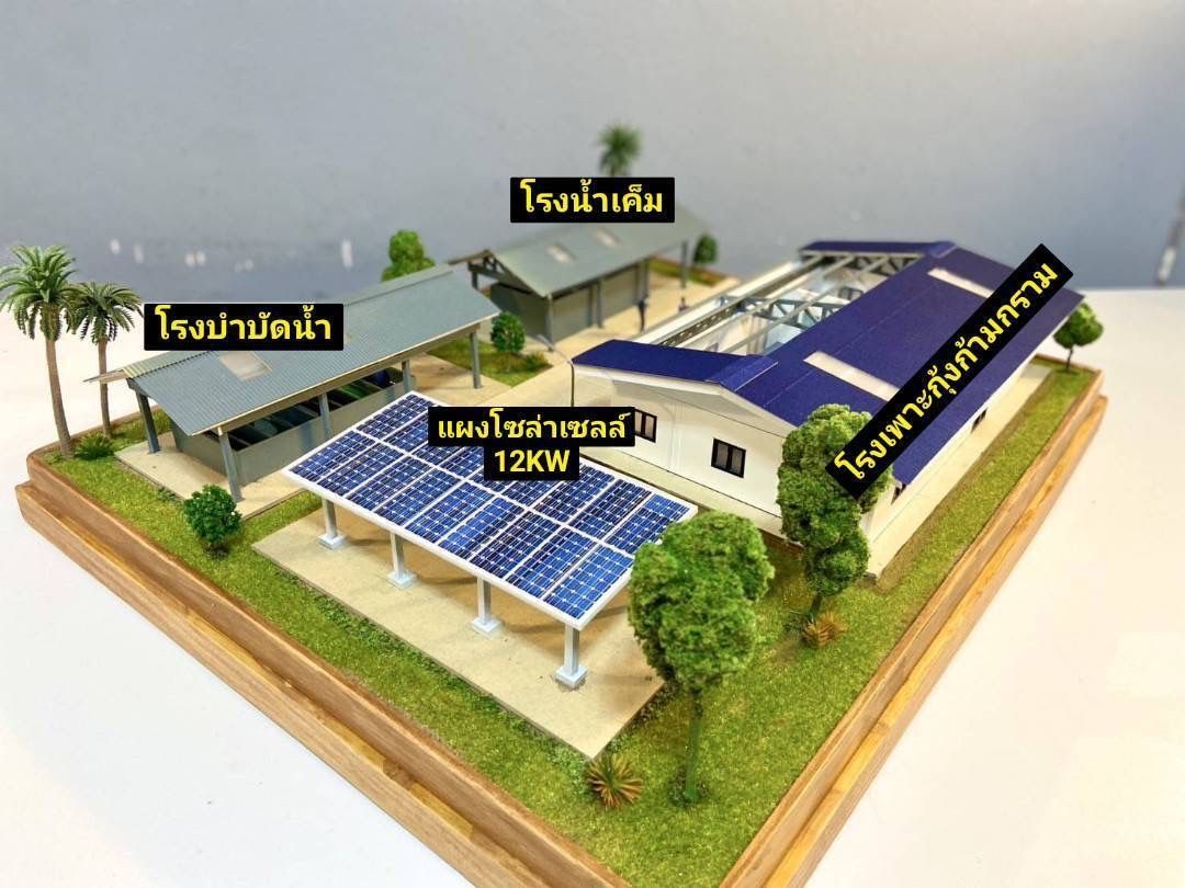 กรมประมงจับมือ กฟผ.เปิดตัว “โรงเพาะเลี้ยงกุ้งก้ามกรามพลังงานแสงอาทิตย์”เป็นศูนย์กลางการเรียนรู้และหนุนอาชีพ สร้างรายได้ท้องถิ่น 8 524461