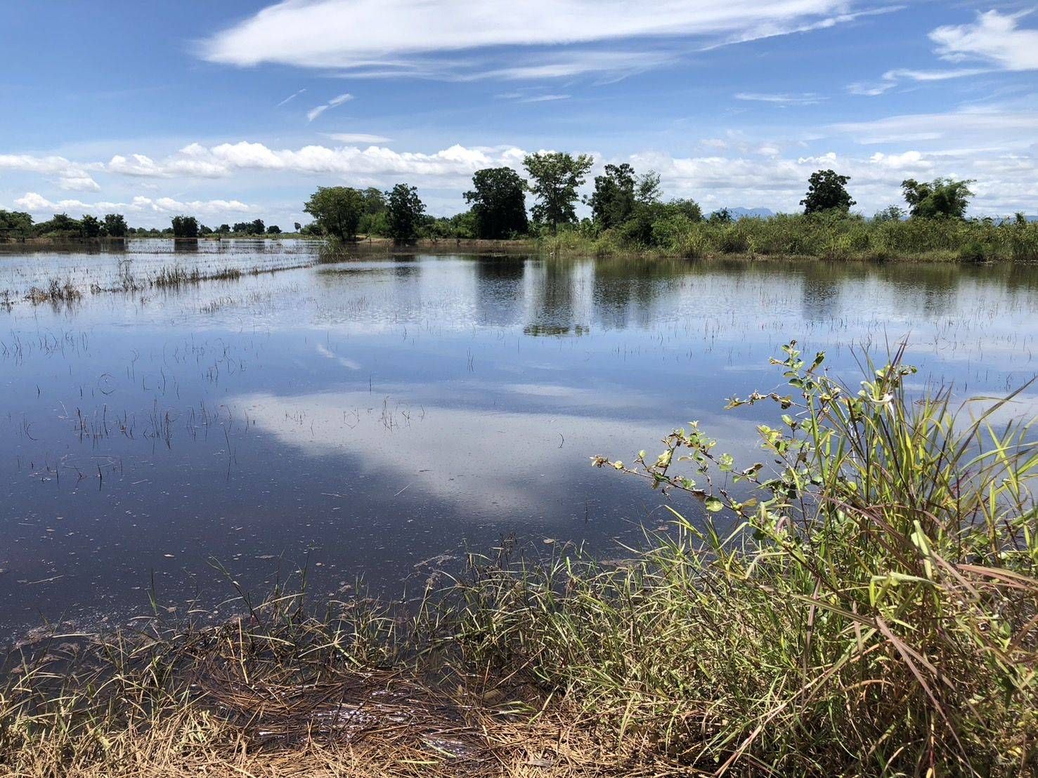 กรมพัฒนาที่ดิน เตรียมแผนฟื้นฟูดินในพื้นที่การเกษตร รองรับน้ำท่วม ดินโคลนถล่ม 3 679722