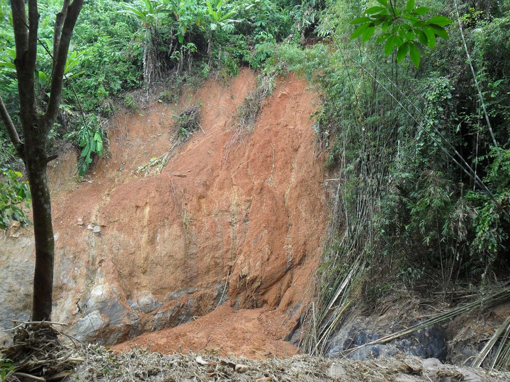 กรมพัฒนาที่ดิน เตรียมแผนฟื้นฟูดินในพื้นที่การเกษตร รองรับน้ำท่วม ดินโคลนถล่ม 4 679723