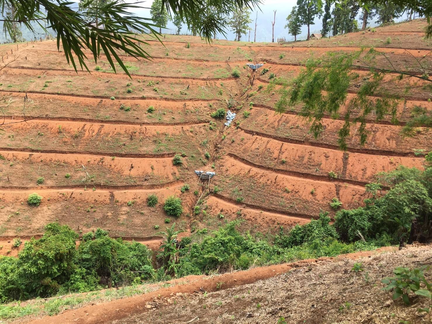 กรมพัฒนาที่ดิน เตรียมแผนฟื้นฟูดินในพื้นที่การเกษตร รองรับน้ำท่วม ดินโคลนถล่ม 10 679729